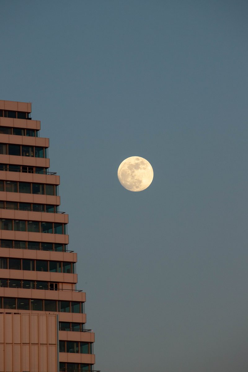 Roche Tower, Basel